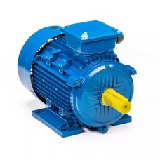 Электродвигатель 5АИ 100 L8 1,5/750 im 1081