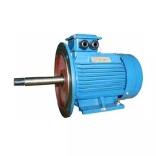 Электродвигатель 5АИ 160 S2Ж 15/3000 im 2009