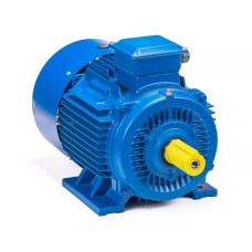 Электродвигатель 5АИ 180 М4 30/1500 im 1002