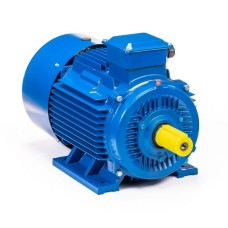 Электродвигатель 5АИ 200 М2 37/3000 im 1001