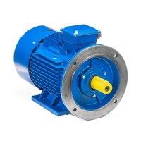 Электродвигатель 5АИ 200 М6 22/1000 im 2001