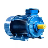 Электродвигатель 5АИ 355 S6 160/1000 im 1001