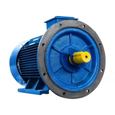 Электродвигатель 5АИ 280 S6 75/1000 im 2001