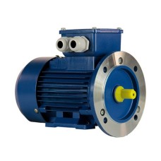 Электродвигатель 5АИ 50 МА2 0,09/3000 im 2081