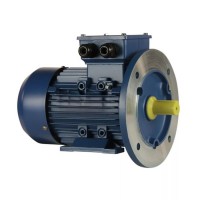 Электродвигатель 5АИ 90 LB8 1,1/750 im 2081