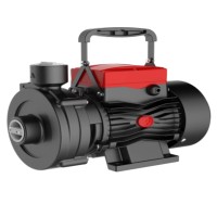 Насос центробежный FANCY 1.5DK16 156DK330002
