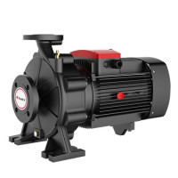 Насос консольно-моноблочный FANCY FST 50-125/30 из чугуна 156FST33026